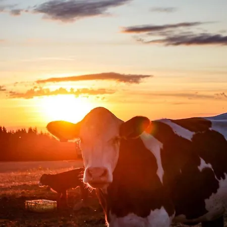 Apartment Rhoen Frankenheim/Rhon